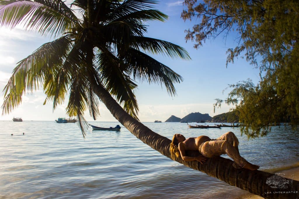 Koh Tao para vivir