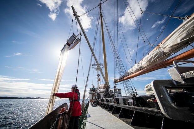 Siendo voluntario de Greenpeace podemos dar la vuelta al mundo en barco gratis ya demás, aprender mucho de la experiencia.