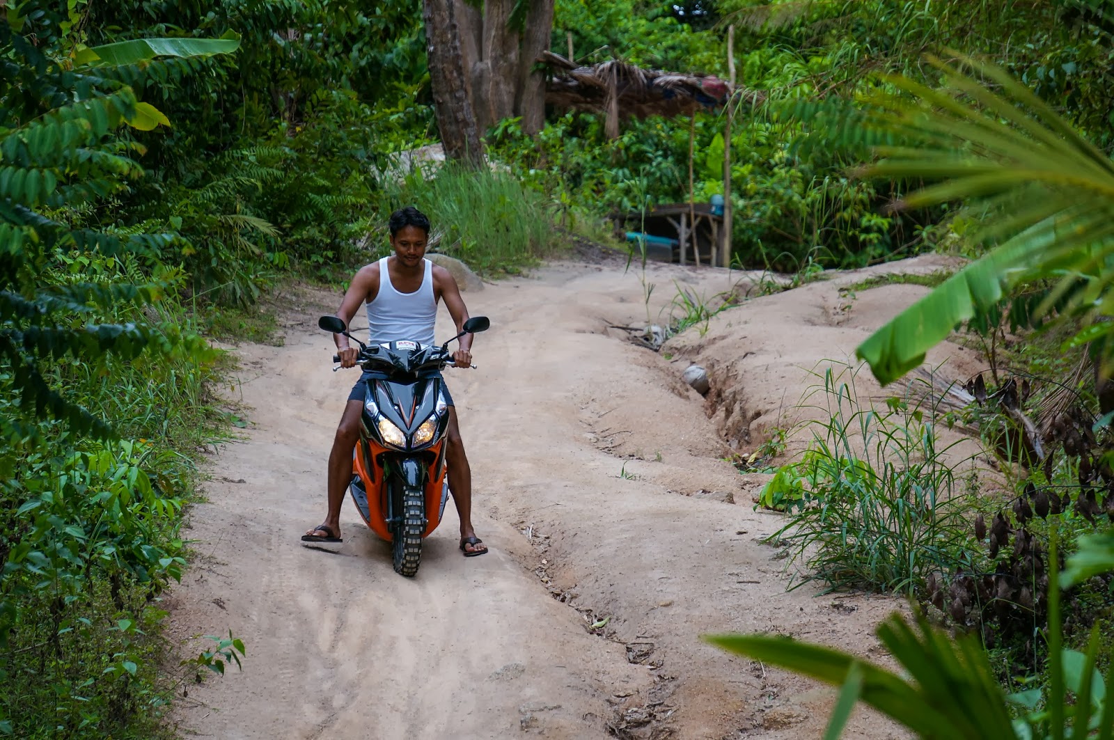 Koh Tao