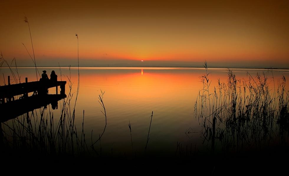 Visita a L’Albufera de Valencia