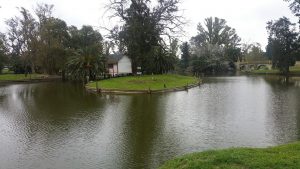 El lago y la cabaña del leñador.