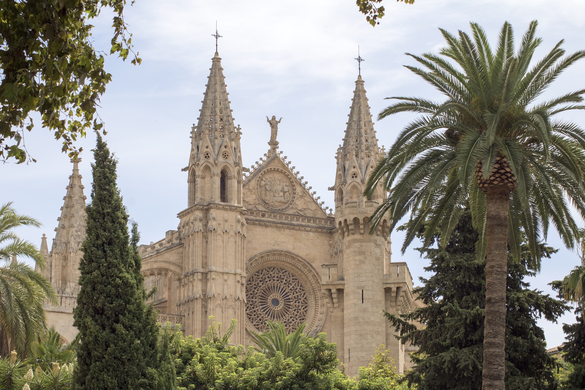 ¡El mejor free tour de Palma de Mallorca! !Entra a descubrir cuál es!