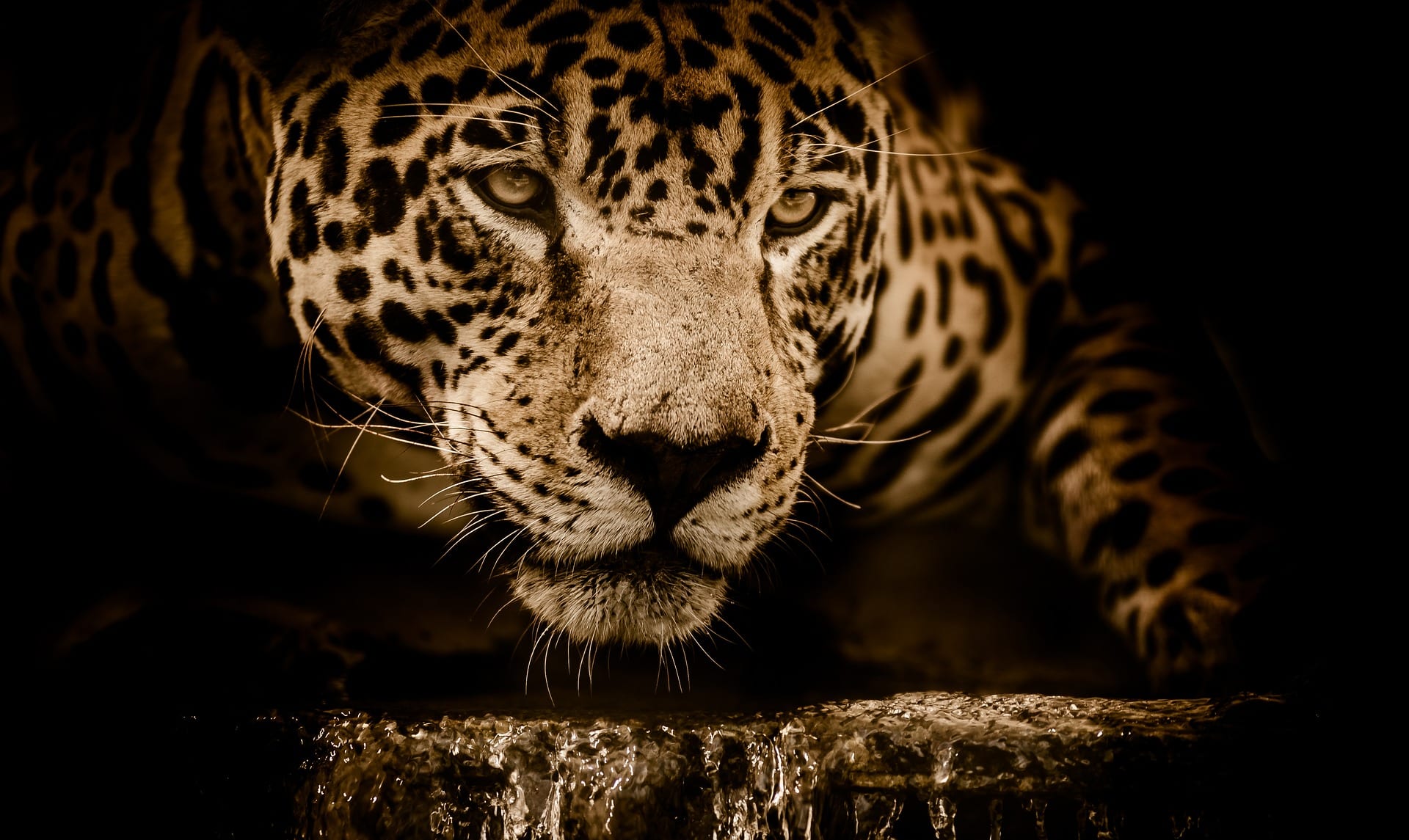Conocer Brasil en 25 destinos inolvidables – Parte I: Ciudades y naturaleza