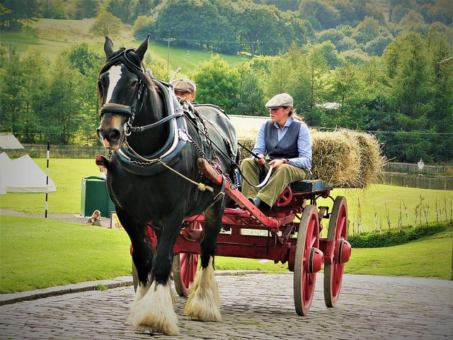 Granjeros en Beamish (snookypoops)