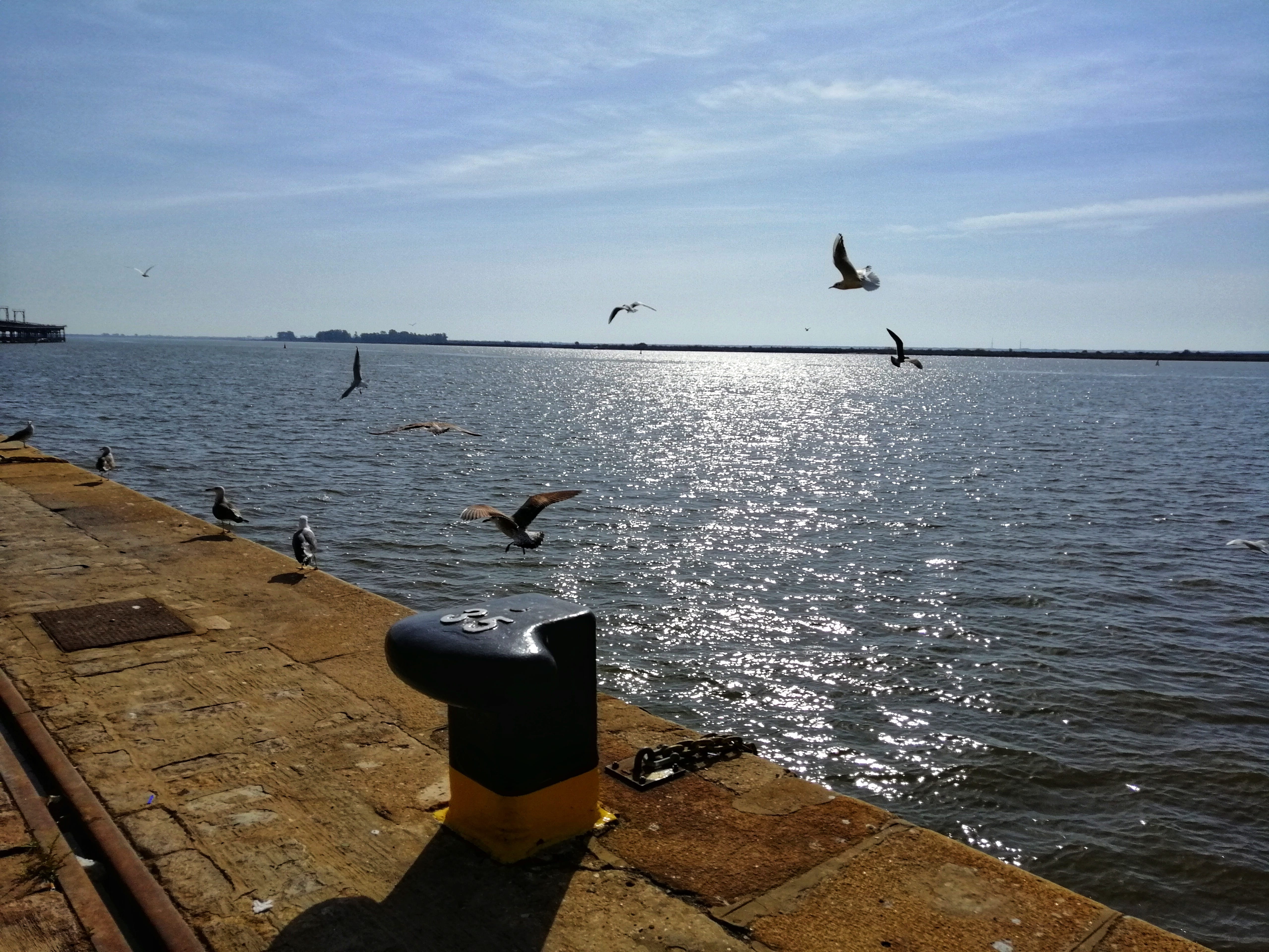 Huelva Marinera