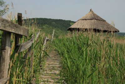 Paseo por el delta de Ardeal