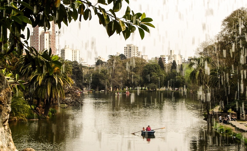 Imperdible: El Bosque y sus secretos.