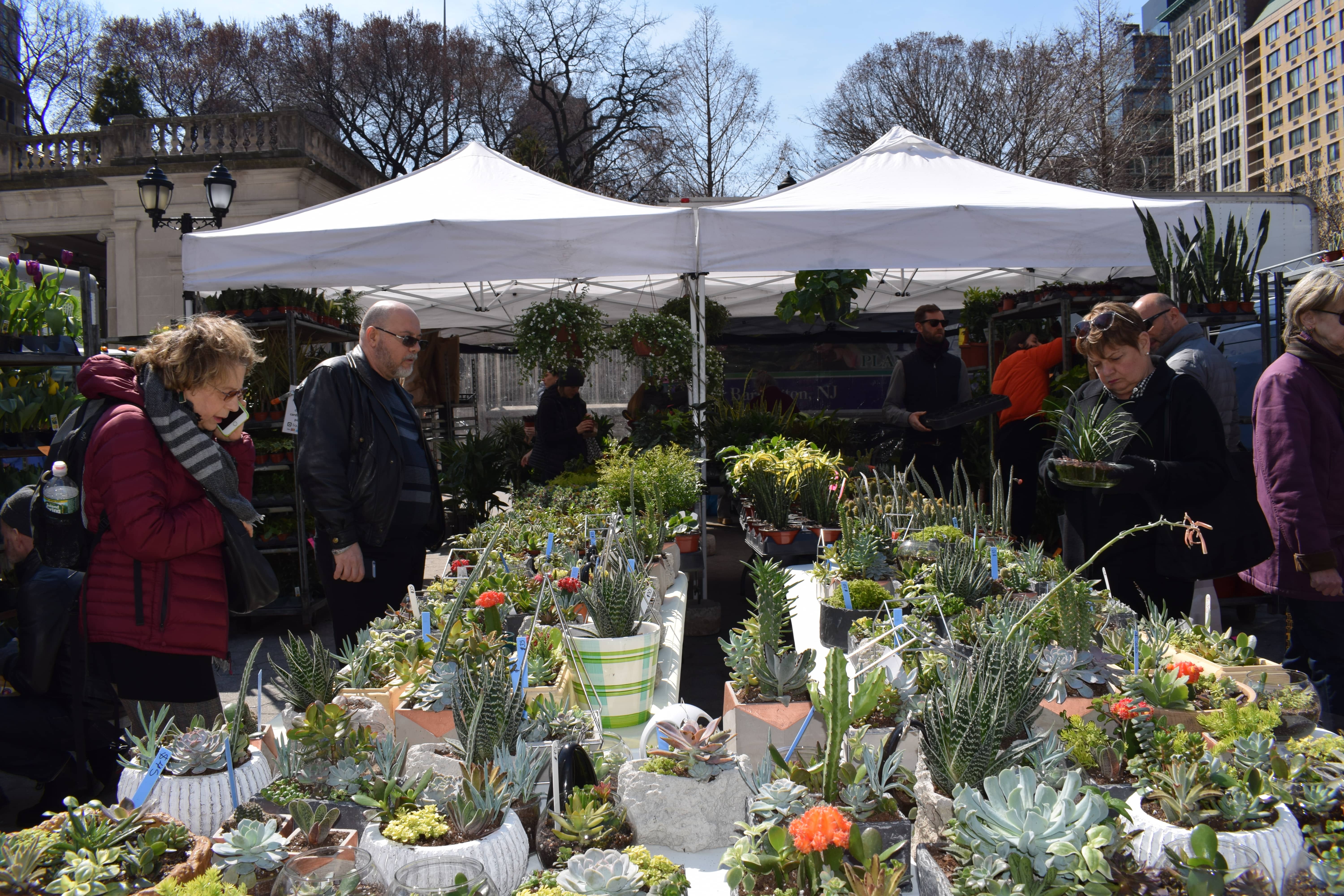 Nueva York: Visita el mercado en Union Square