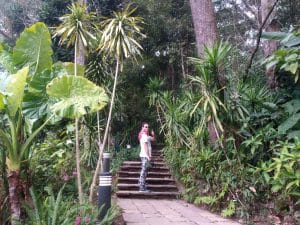 jardines del Rey