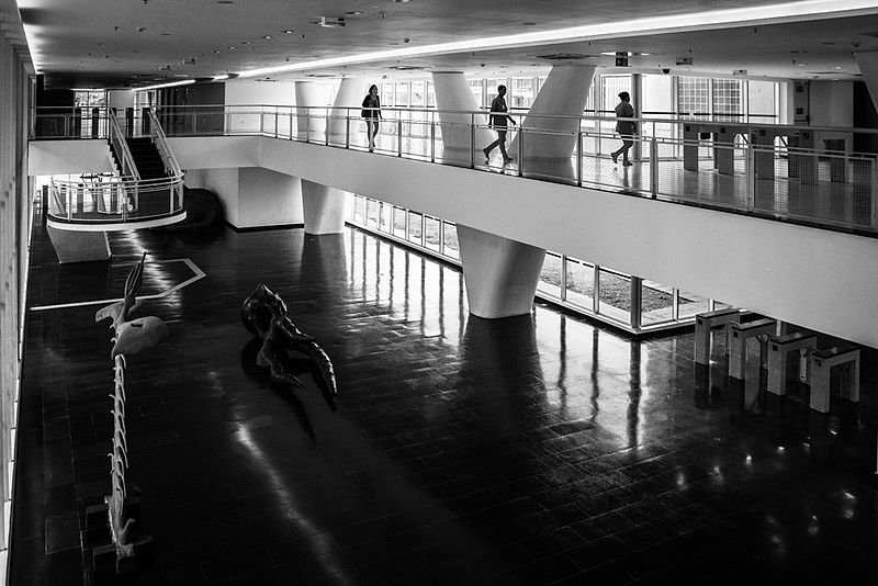 Museo de Arte Contemporáneo (MAC) de São Paulo