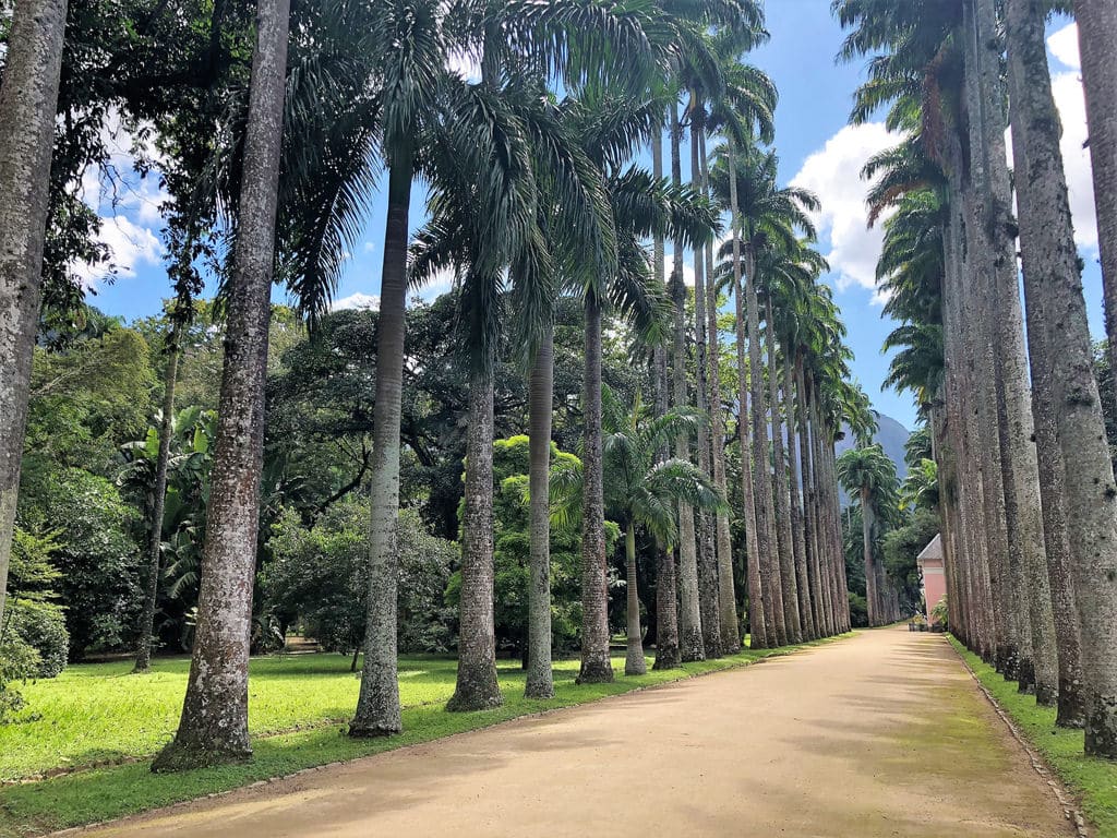 Jardín Botánico de Río de Janeiro