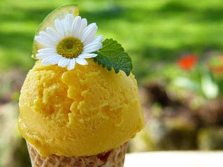 LOS MEJORES HELADOS DE FLORENCIA