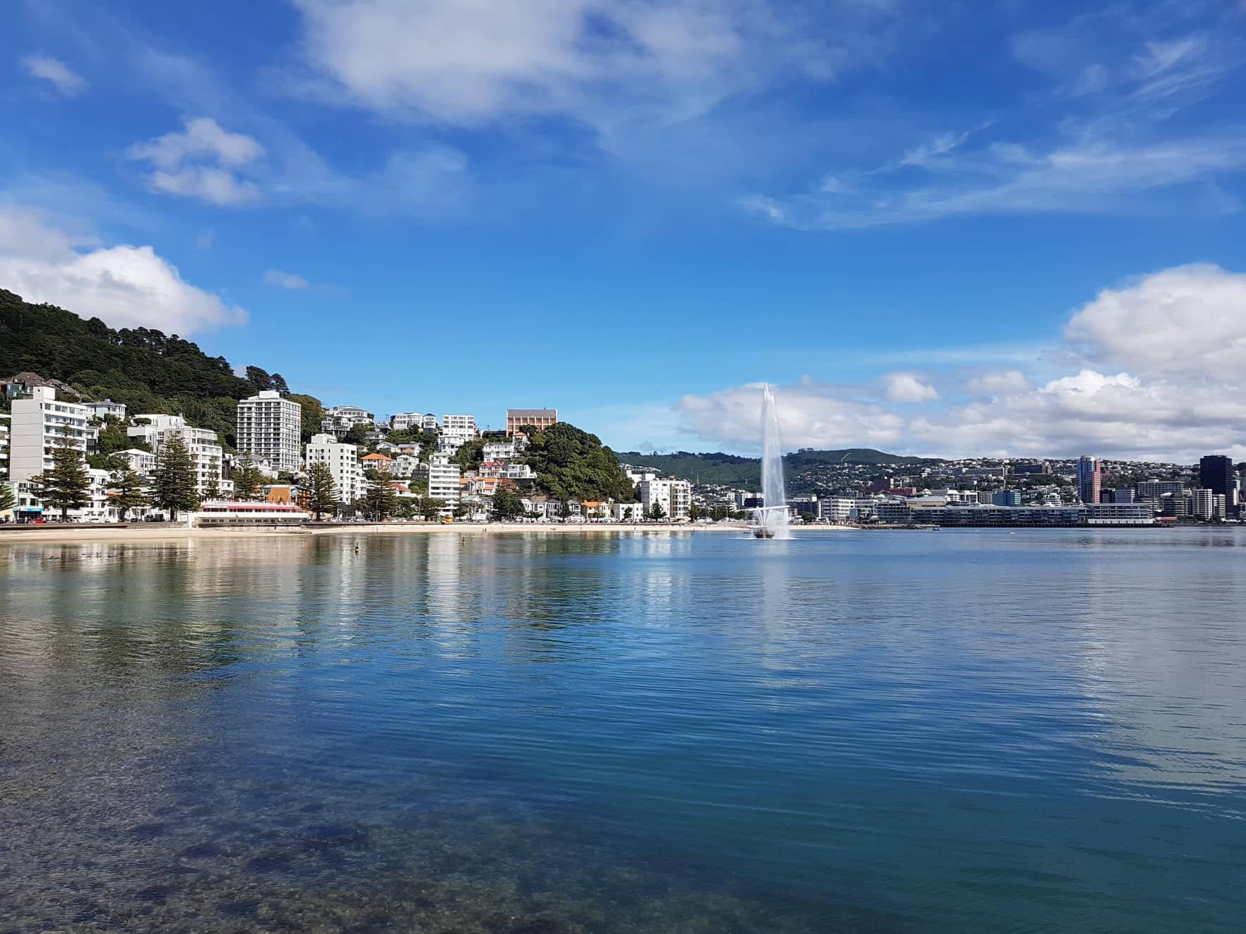 Qué hacer en Wellington, Nueva Zelanda