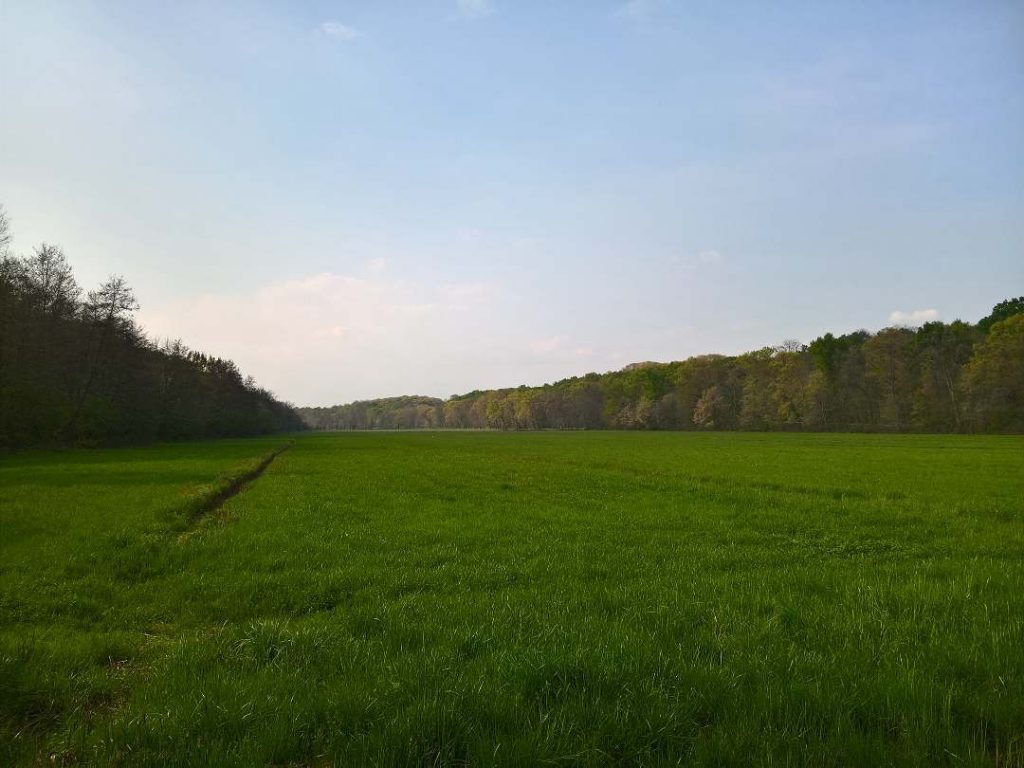 Vistas de La Mandria