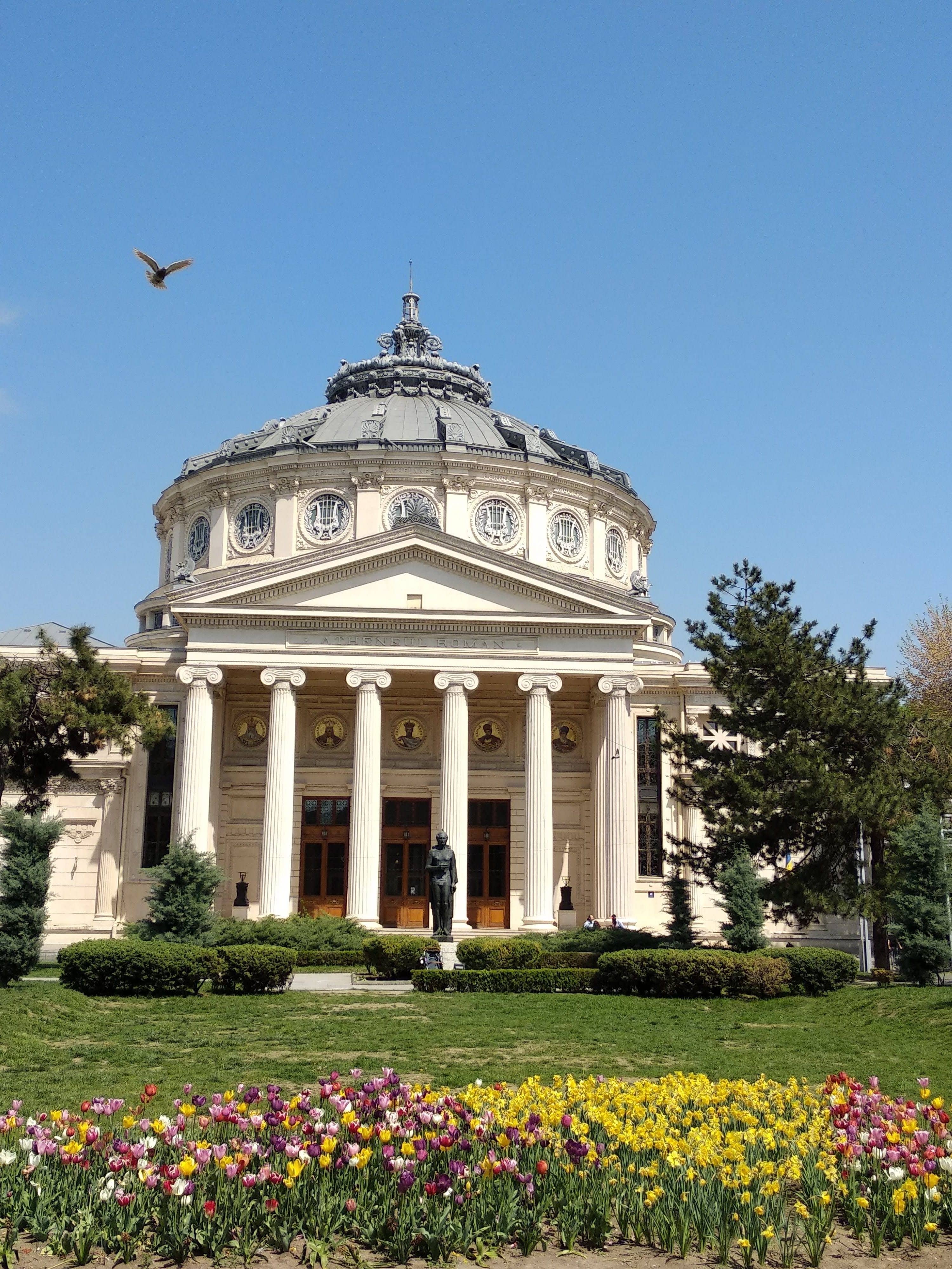 Cómo llegar y moverte en Bucarest