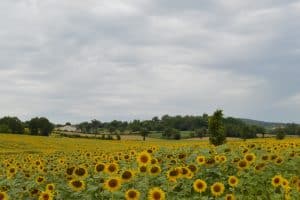 viajar a la Toscana