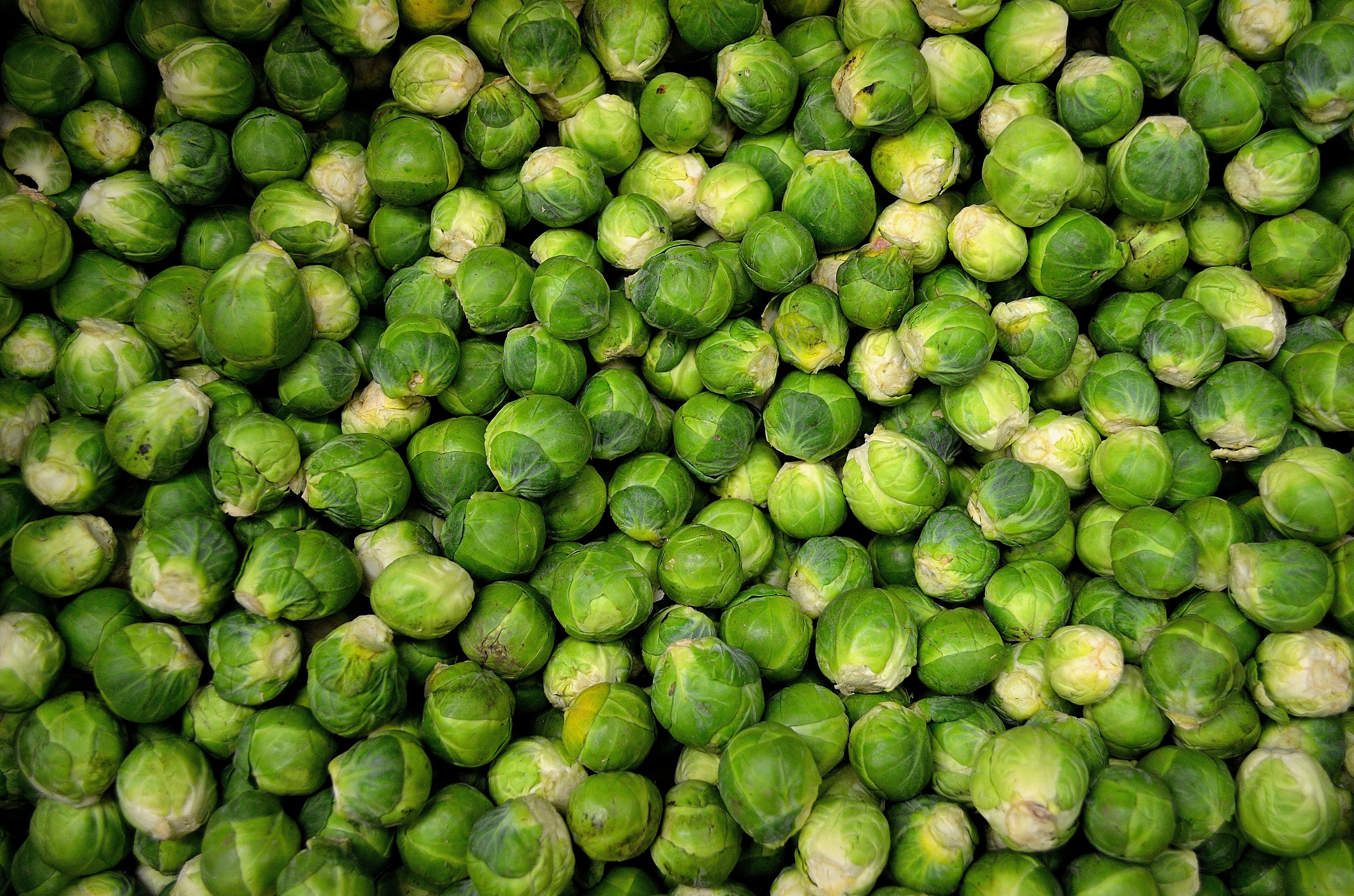 Qué comer en Bruselas