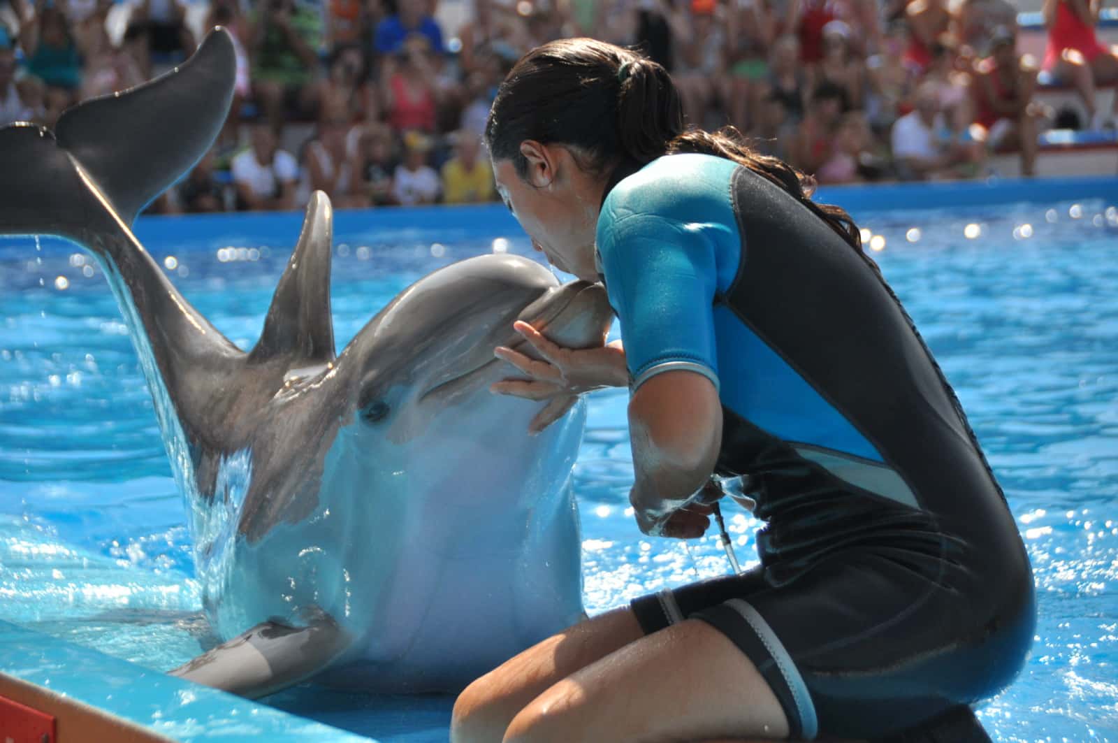 Foto del parque acuático Marineland, Mallorca