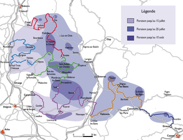 la-ruta-de-la-lavanda