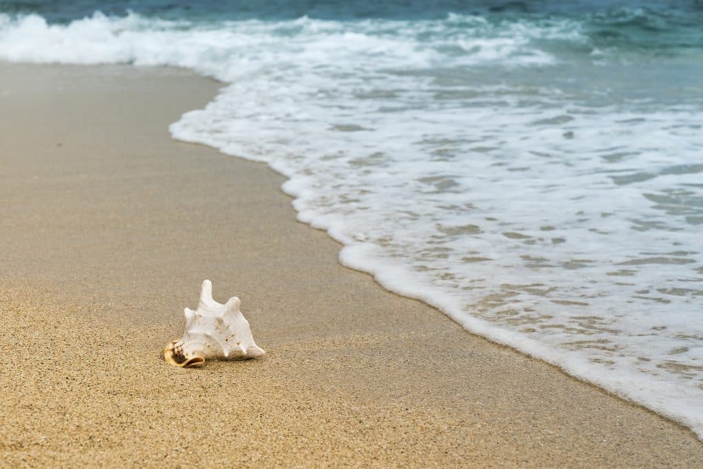 Playas de la Región de Murcia