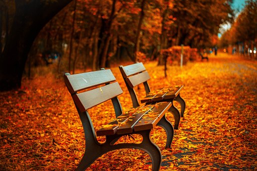 QUÉ HACER EN FLORENCIA EN OTOÑO