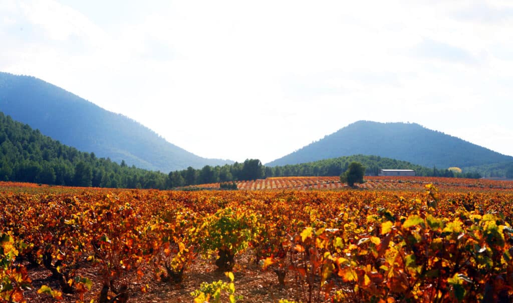 Valle del Aceniche en Otoño (Región de Murcia) 