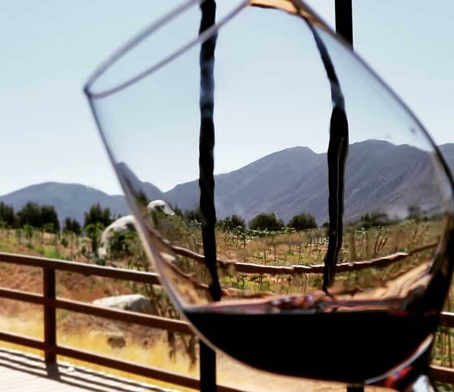 VINO GEORGIANO: Ruta del vino y las mejores bodegas