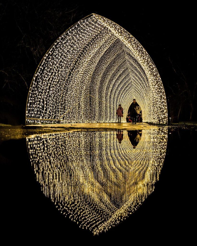 Christmas at Kew