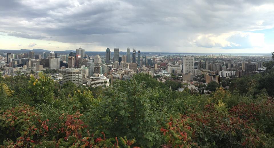 QUÉ VER EN MONTREAL