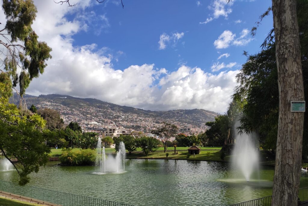 7 cosas para disfrutar en la capital de Madeira.
