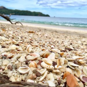 4 playas increíbles en Costa Rica