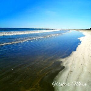 4 playas increíbles en Costa Rica