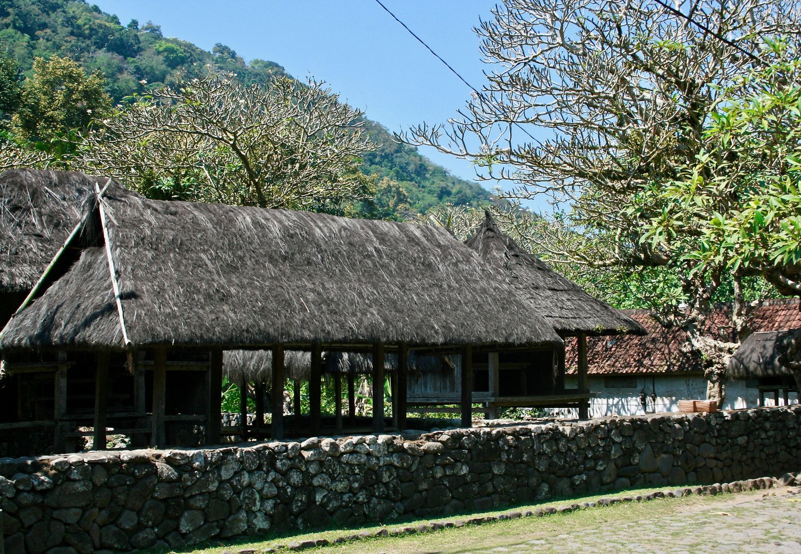 TENGANAN: EL PUEBLO BALI AGA