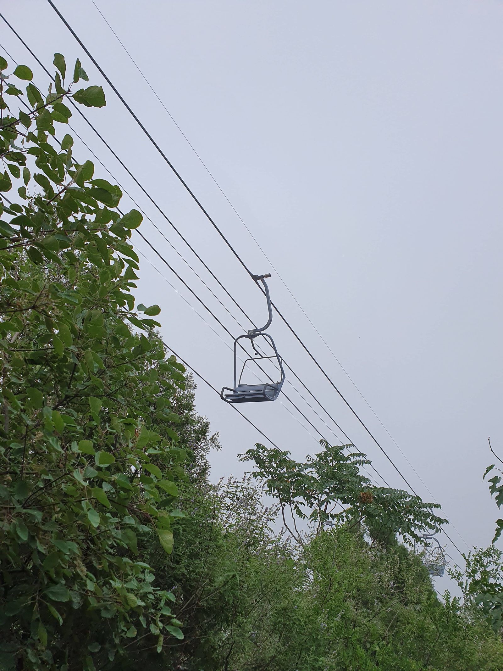 Cable Carro