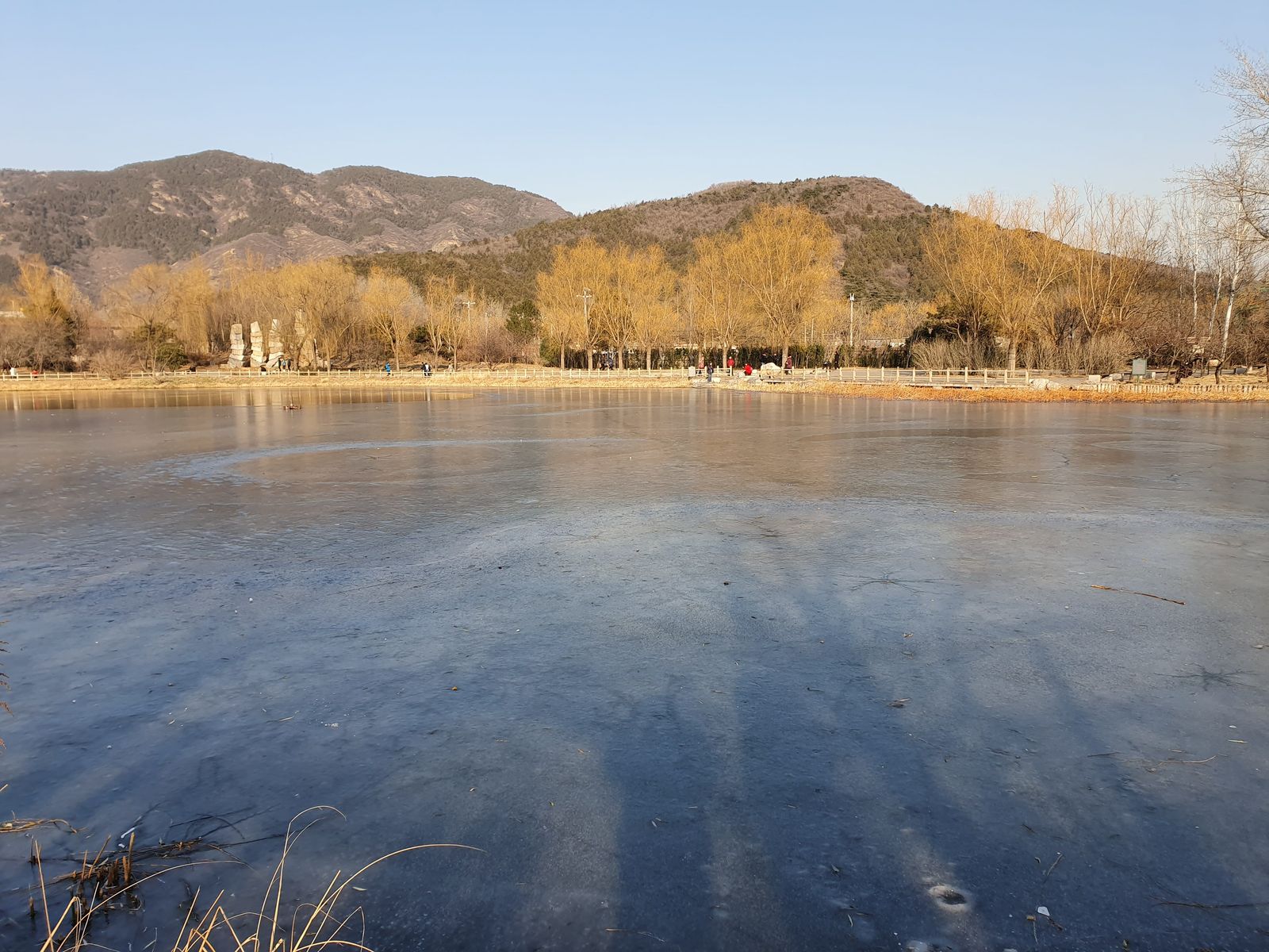 Lago congelado Lago congelado