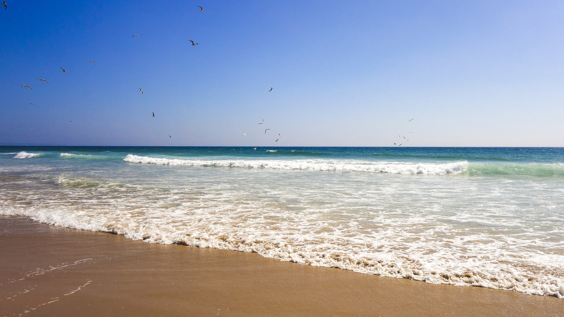 Beaches of Portugal