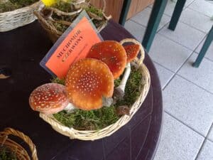 Qué ver en Poznań, los mejores lugares que no te puedes perder