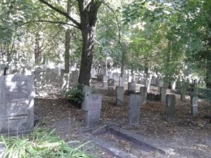 Qué ver en Poznań, los mejores lugares que no te puedes perder
