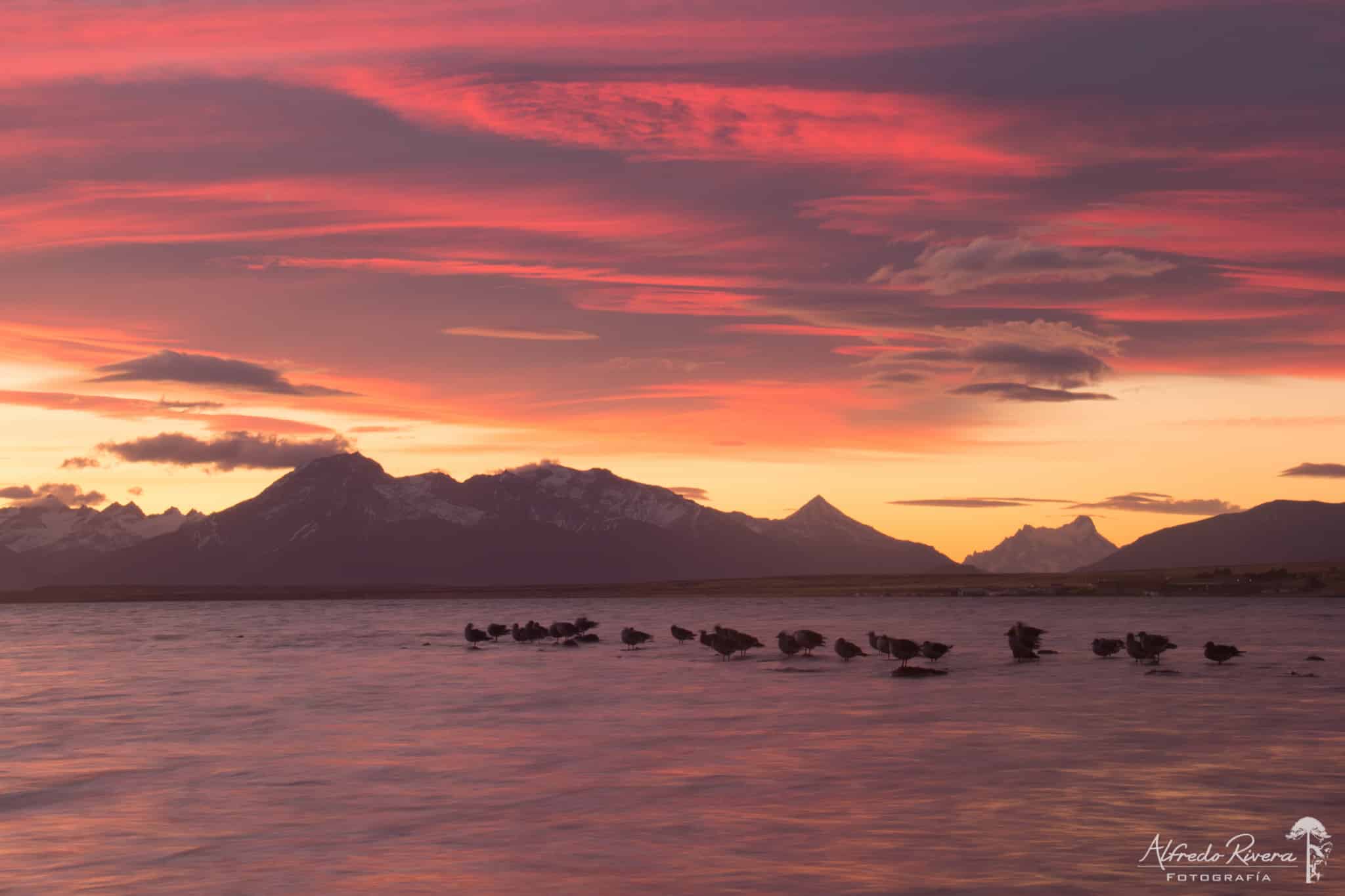 puerto-natales