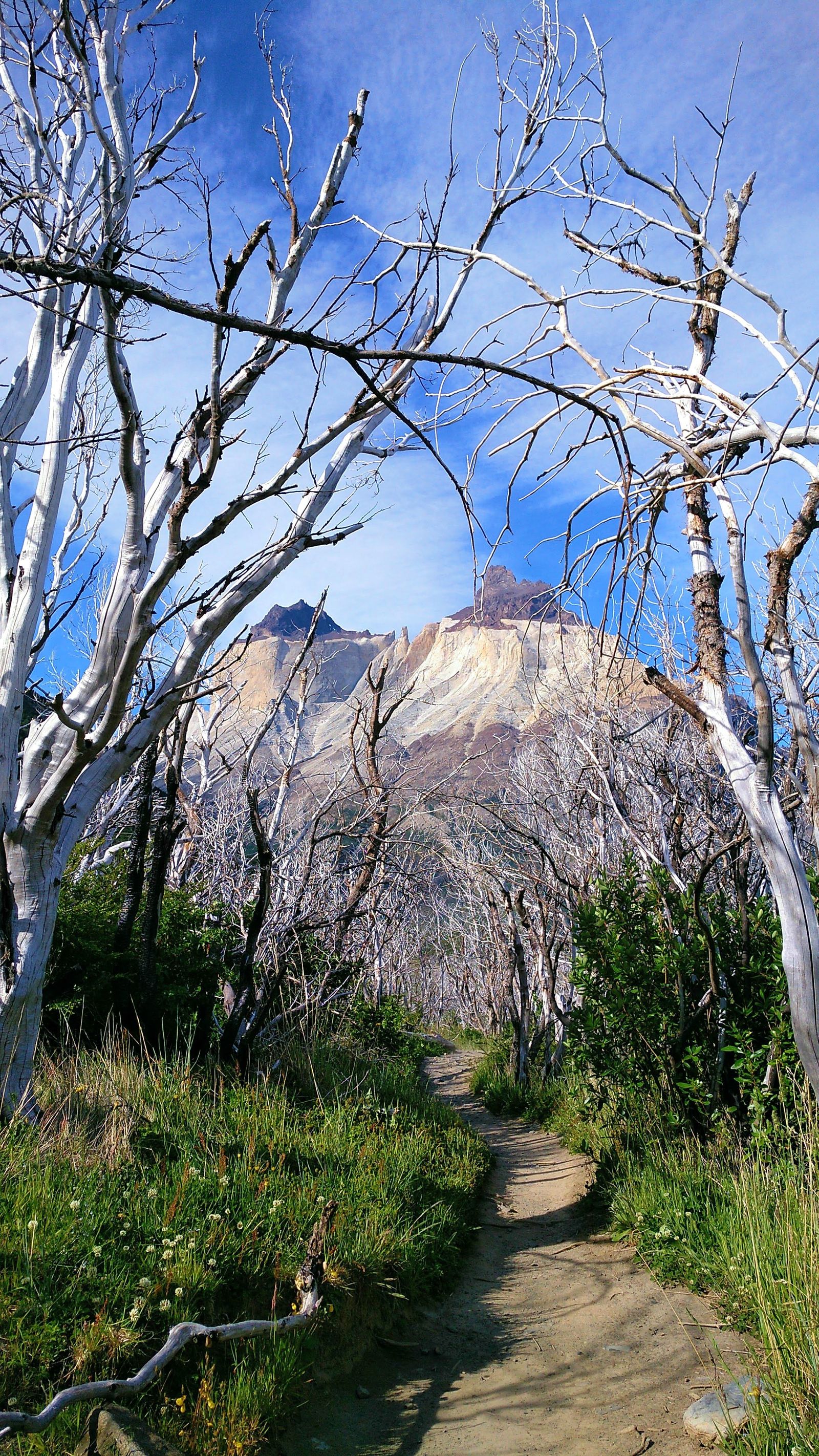cuernos-del-paine