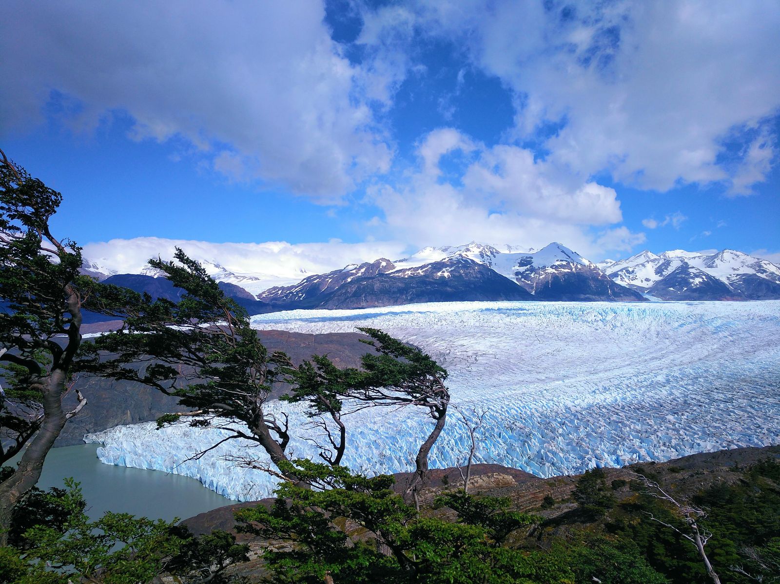 glaciar-grey