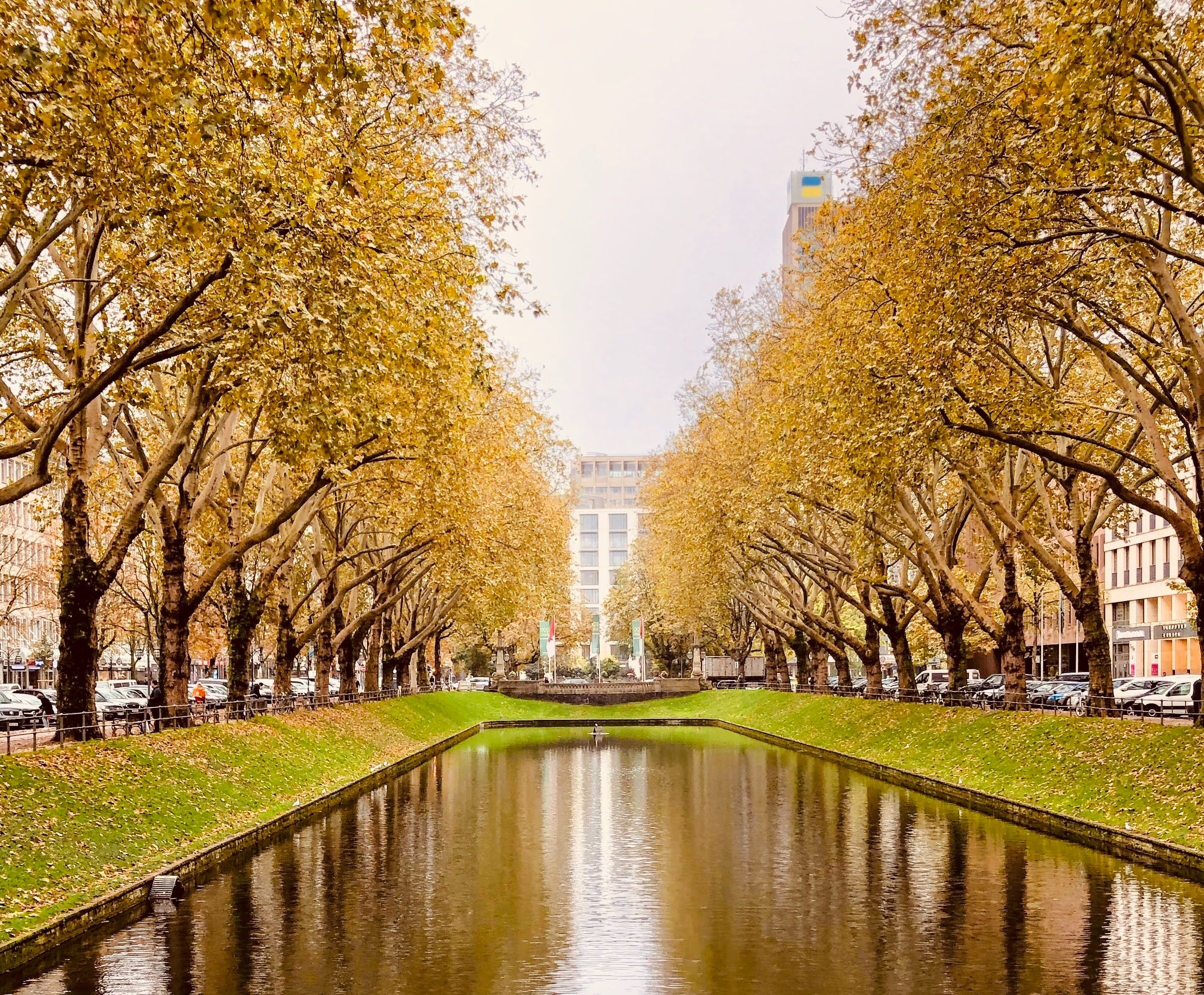 Düsseldorf, que ver gratis - parte II